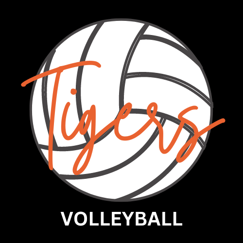 Volleyball Gear